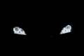 Avatar utilizator