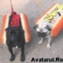 Avatar utilizator