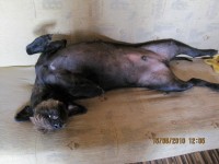 IMG_1851.jpg