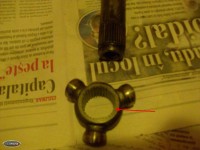 tripoda Ford.jpg