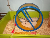 modificata.jpg (92.68 KiB) Vizualizat de 97 ori modificata.jpg