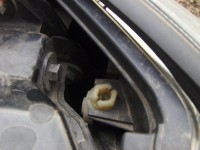 roti dintate1.JPG