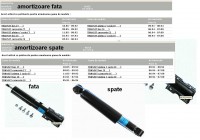 amortizoare transit.JPG