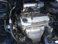 motor.jpg