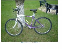 New Bitmap Image.JPG