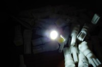 T 05 - W5W - 1SMD-Bord b.jpg
