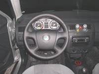 skoda (Small).JPG