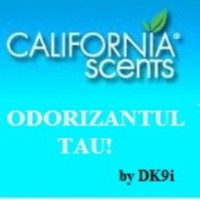 CALIF SCE.jpg