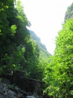 09.06.06 - 098- Cascada Lotrisor.jpg
