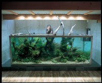 bigtank - resize.jpg
