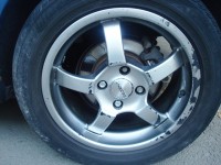 DSC08128.JPG