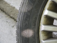 P1050786 (Medium).JPG