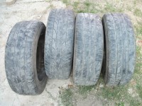 Resize of DSCF6399.JPG