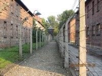 auschwitz.jpg