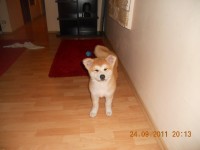 DSCN0942.jpg