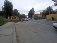 IMG317.jpg