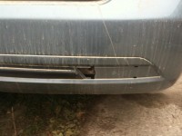 IMG_0041 (Large).JPG