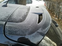 2011-12-01 08.38.12.jpg
