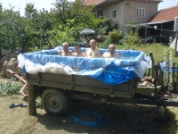 jacuzzi.jpg
