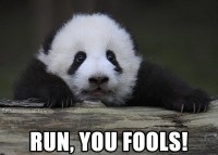 run you fools.jpg