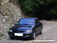 IMG_3768.jpg
