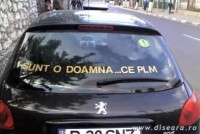sunt_o10.jpg