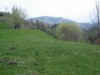 DSC01604.jpg