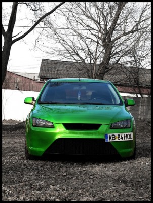 green focus.jpg