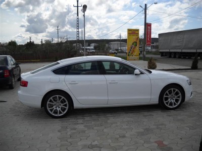 DSCN2313 (Custom).JPG