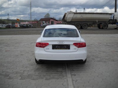 DSCN2320 (Custom).JPG