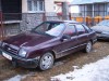 S3700221 (Large).JPG