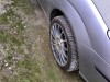 DSC00202R.jpg