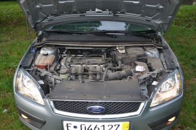 Resize of DSC_0102.jpg