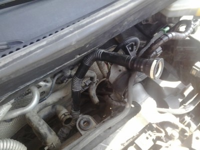 2012-07-03 10.17.12.jpg