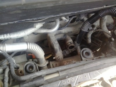 2012-07-03 10.17.16.jpg