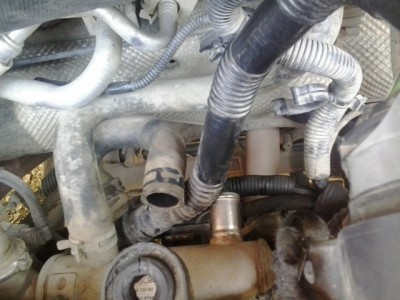 2012-07-03 10.17.28.jpg