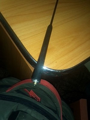 IMG154.jpg