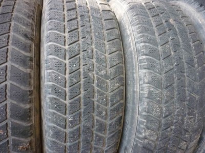 Resize of P1140177.JPG