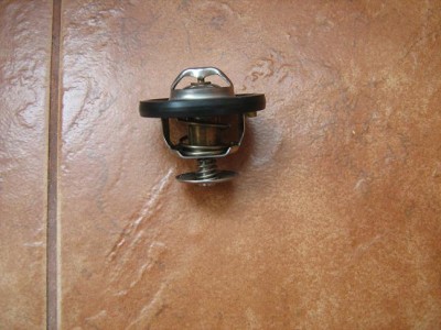IMG_1062 MODIF.JPG