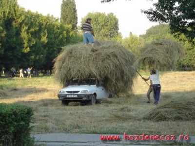 063_ro.jpg