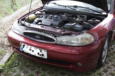 IMG_9522zzu copy.jpg