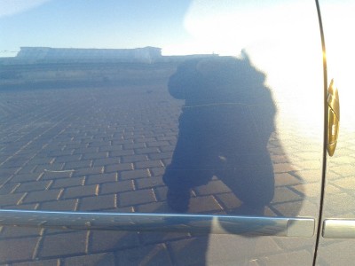 2012-11-18 15.57.04.jpg