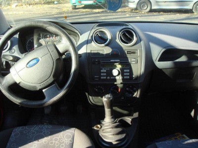 fiesta8.jpg