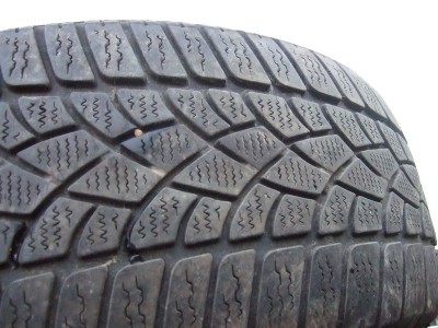 20555R16dunlop2009b.jpg