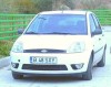 SXY 02.jpg
