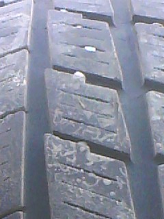 IMG0283A.jpg