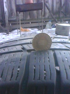 IMG0286A.jpg
