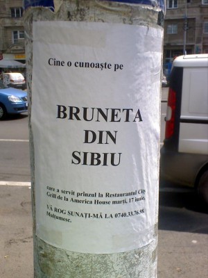 sibiu_581378_301925169888914_1550858682_n.jpg