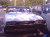 Picture 97.jpg