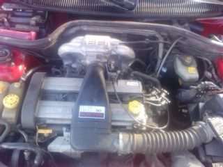 IMG_20130204_100854.jpg